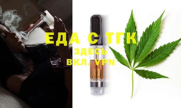 гашик Гусь-Хрустальный