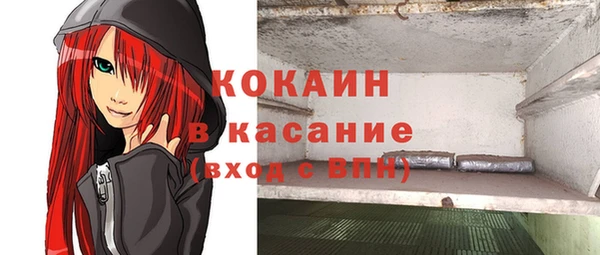 гашик Гусь-Хрустальный