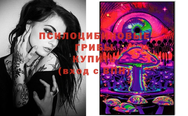 стаф Дмитровск